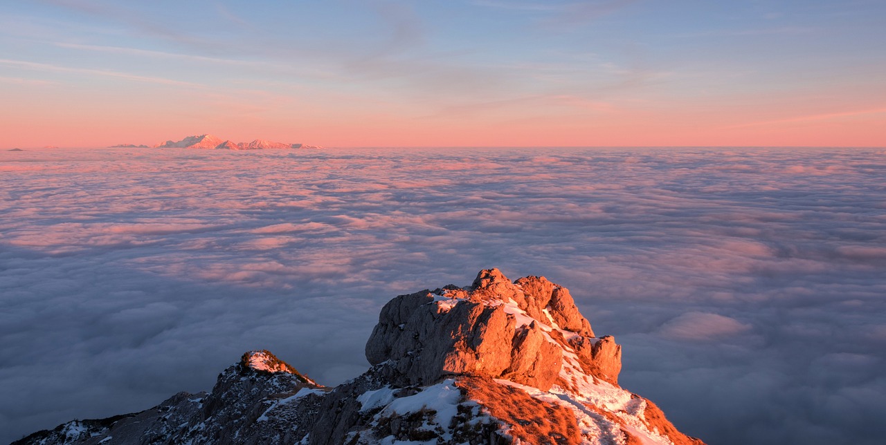 Why Cloud Pos Software In Dubai Is Essential For Retailers During Peak Seasons?