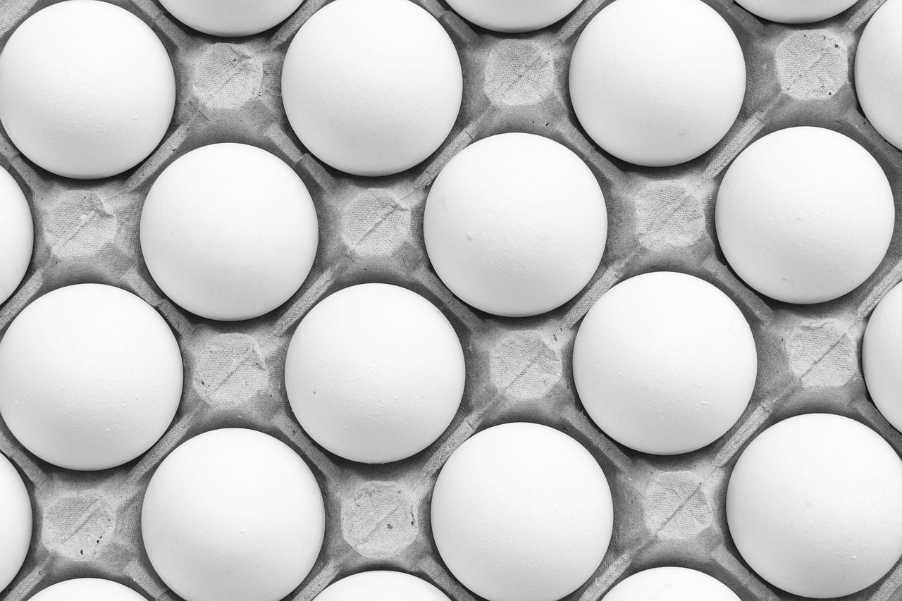The Egg Donation Journey: A Step-by-Step Guide for Intended Parents