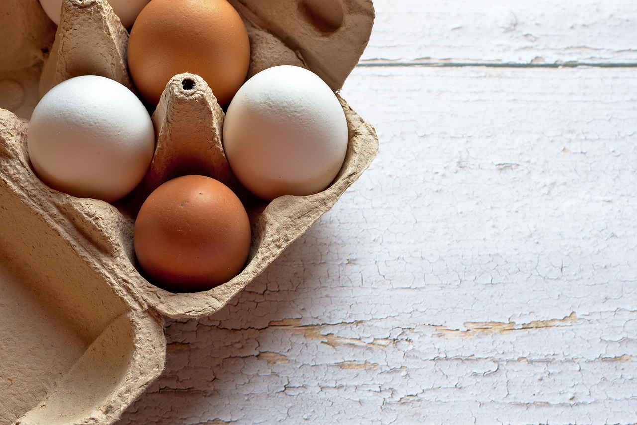 How to Become an Egg Donor in San Diego?