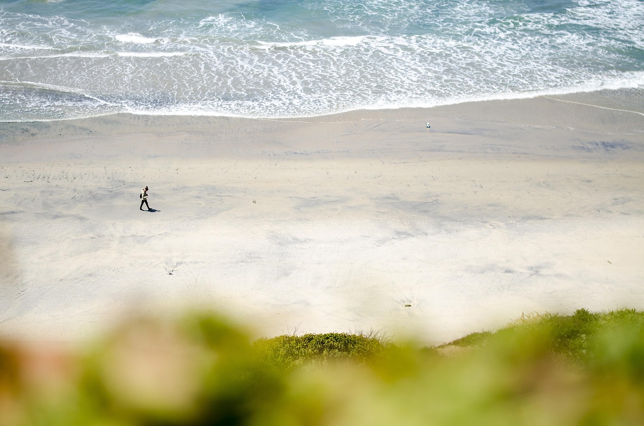 Natural Cycle IVF in San Diego: A Gentle Path to Parenthood in 2026