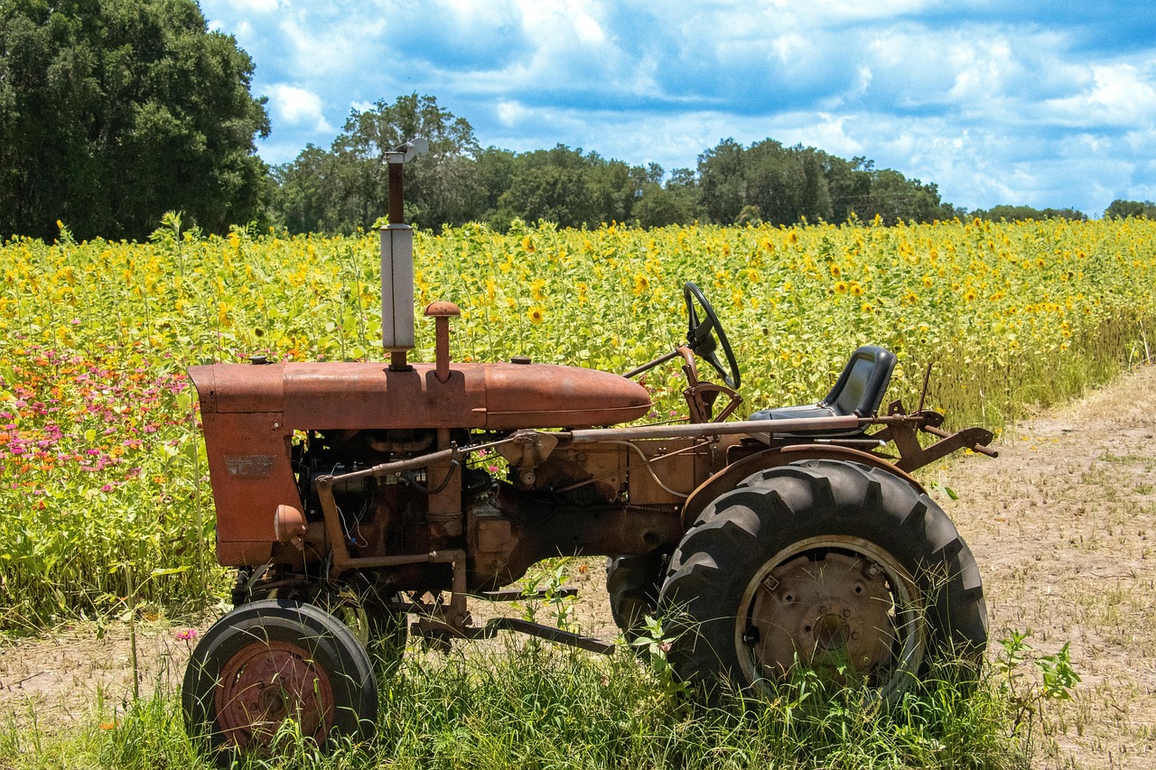 Florida Farm For Sale: A Complete Guide To Making Your Dream Come True