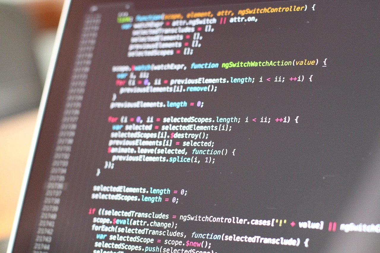 The Future Of Business: Embracing Customised Software Development