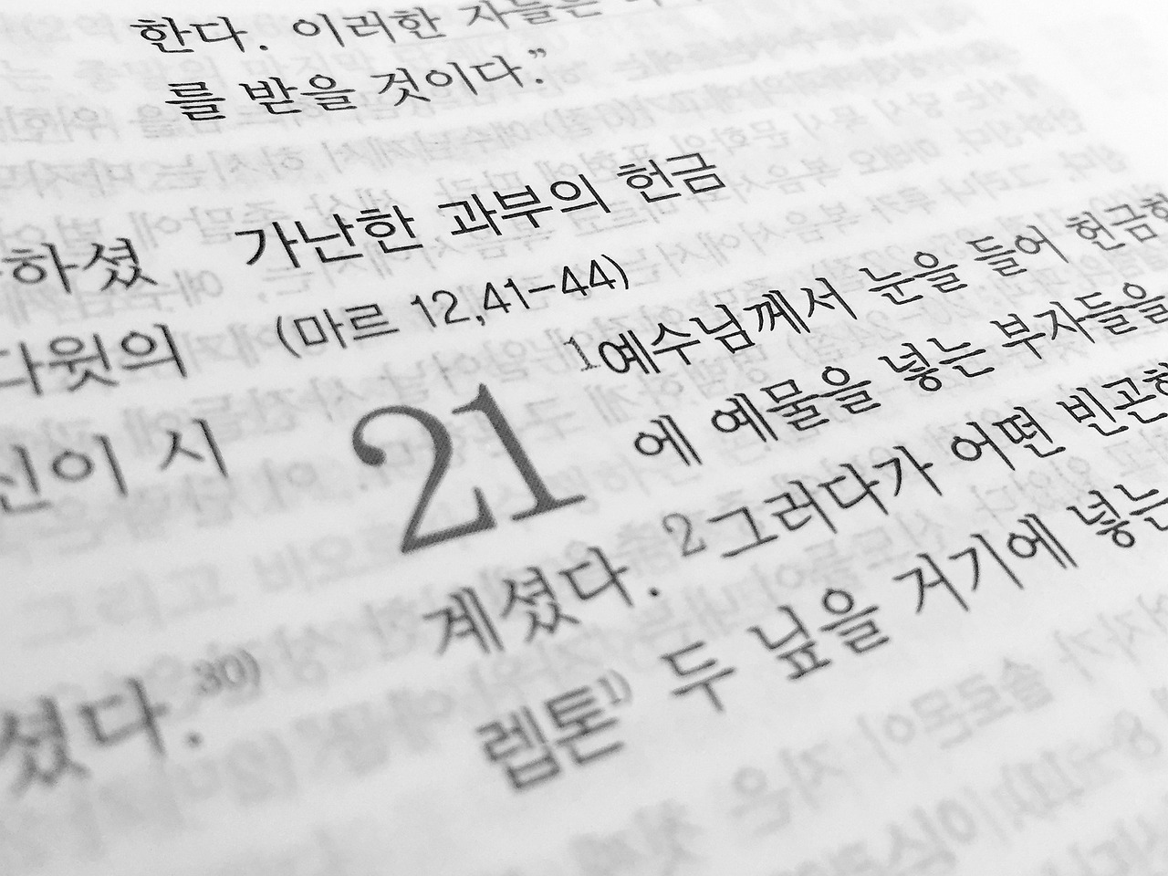 Certified Korean Translation for Legal and Business Documents