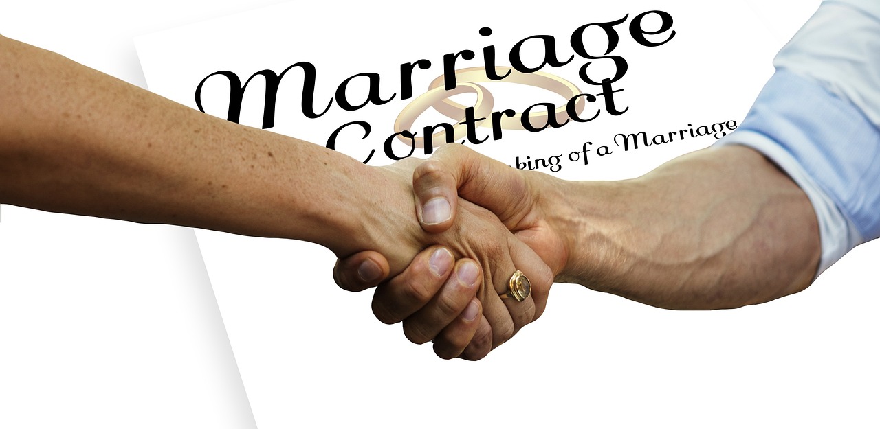 How SAAS Contracts Lawyers Save You Money?