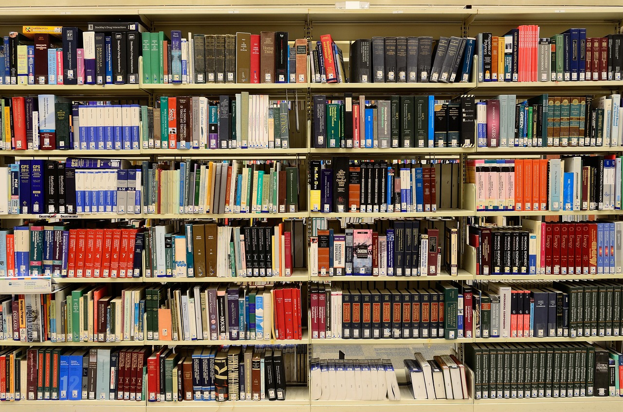 College Planning Timeline: What US Families Should Do Each Year of High School