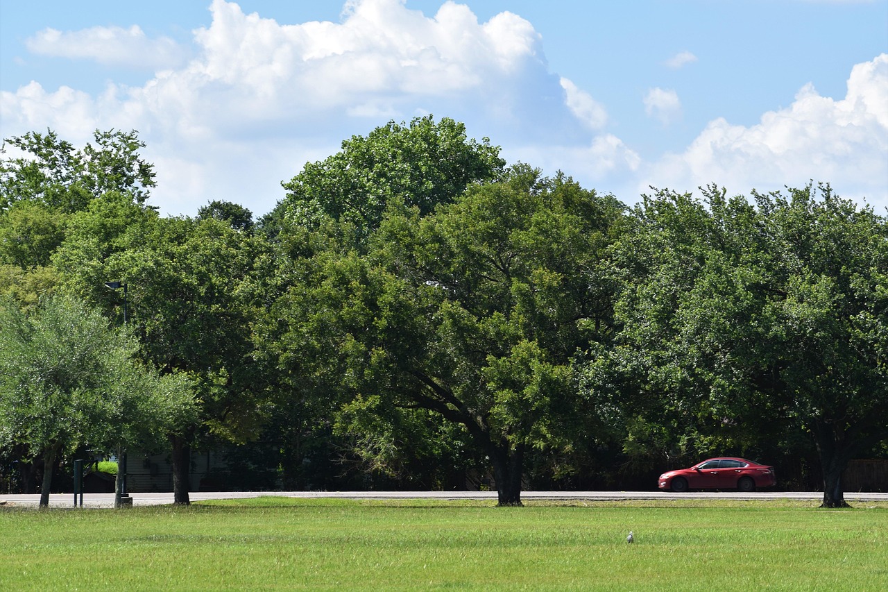 How To Make The Most Of Your Rental Car During Your Vacation?