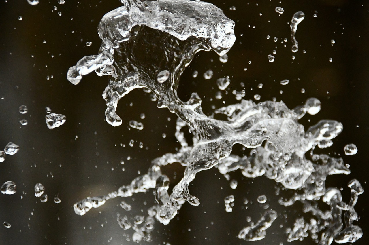 How to Add Natural Daily Health Drops to Your Routine?