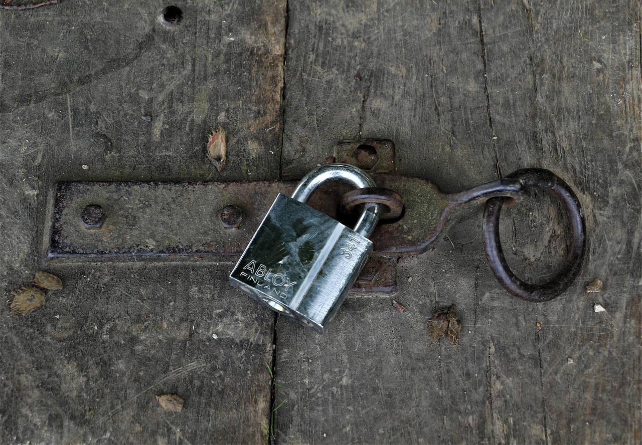 Modern Security Door Features You Should Know