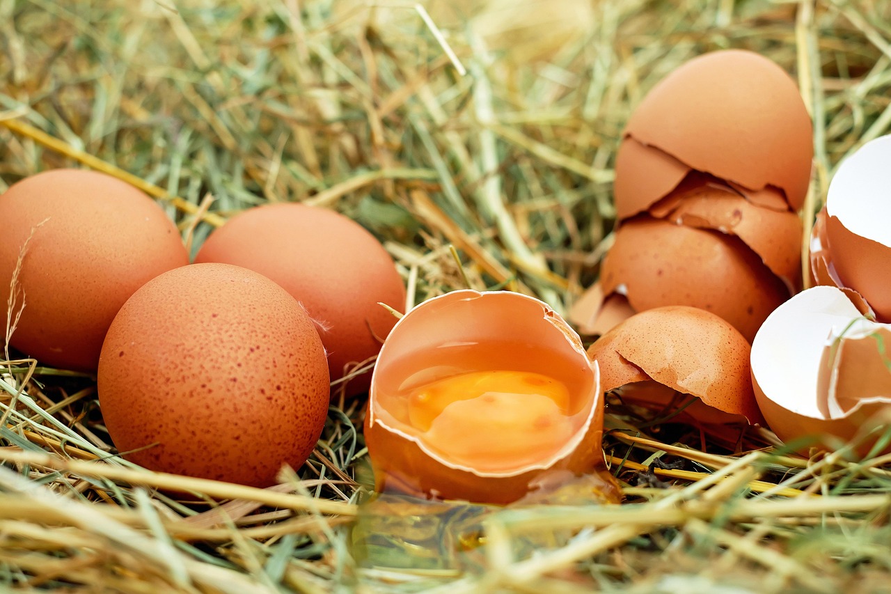 How to Become an Egg Donor in San Diego? A Comprehensive Guide for 2025