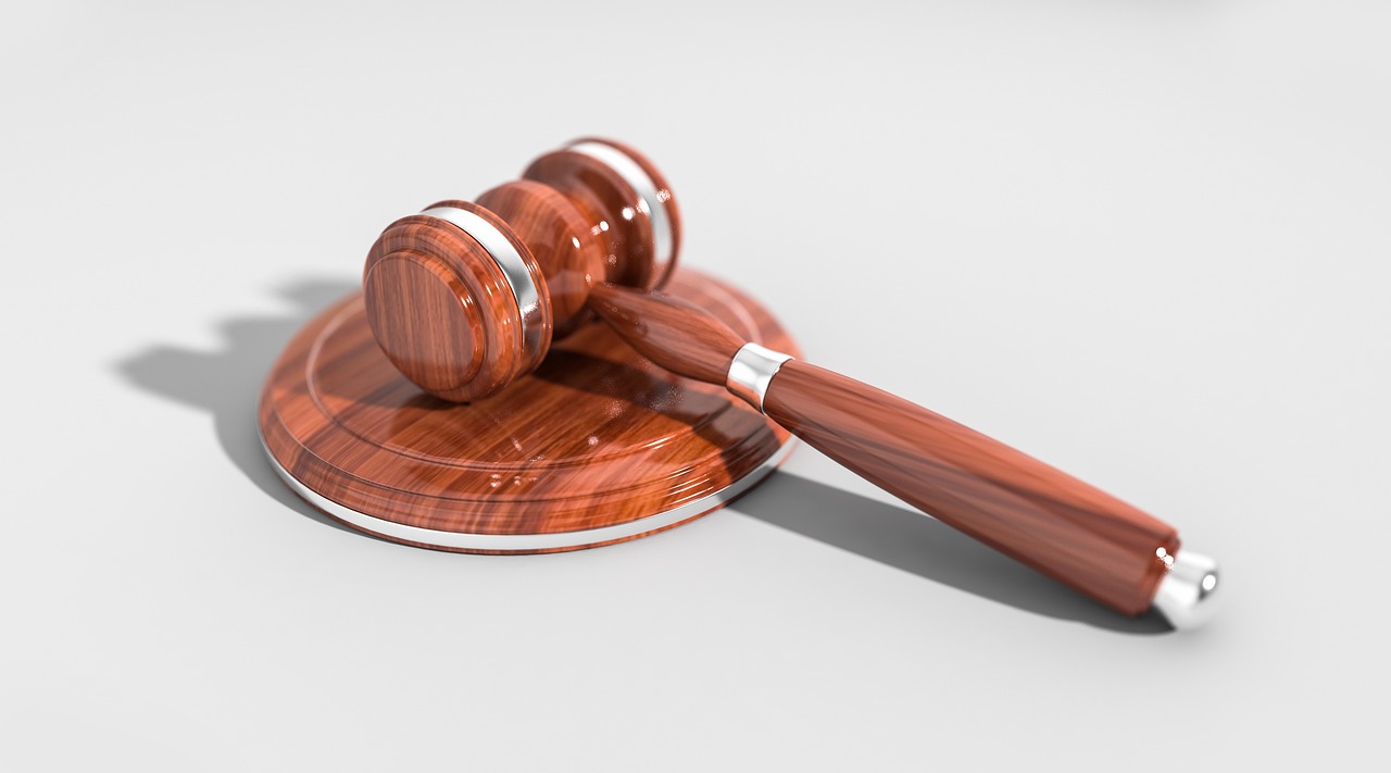 Why You Need A Dog Attack Legal Expert After A Severe Dog Bite?