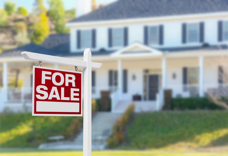 how to set up self directed ira