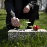 direct cremation services