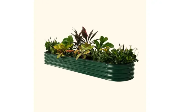 raised garden beds