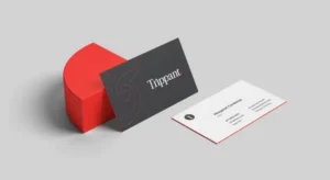 website design packages