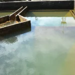 spirulina farming solution
