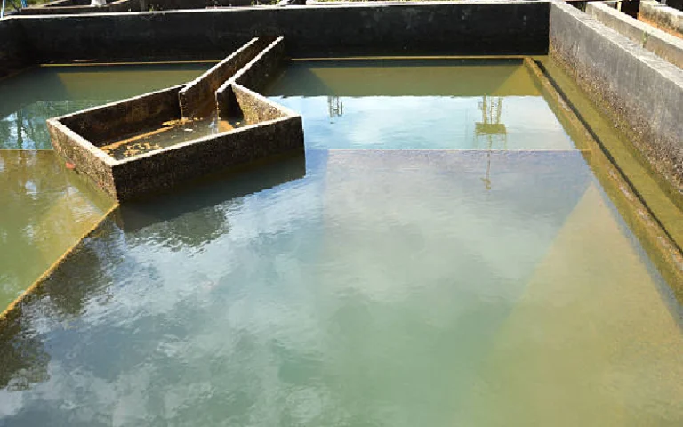 spirulina farming solution