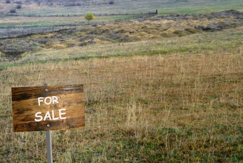 florida farm for sale