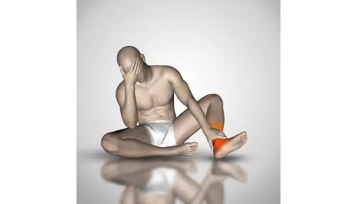 gastrocnemius function