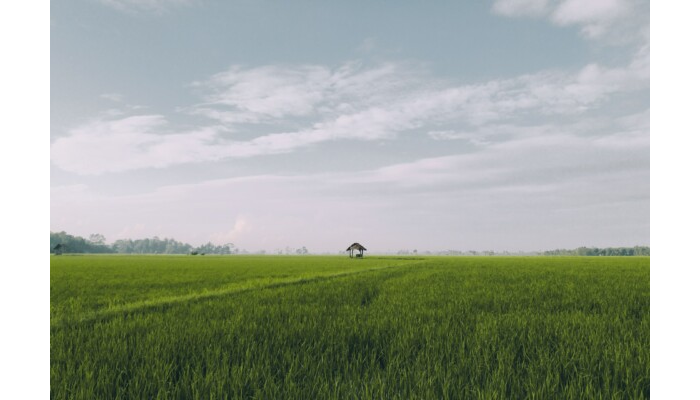New Project (8)